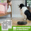 Σακούλες ηλεκτρικής σκούπας για iRobot Roomba, Καθαρή βάση, Αυτόματη απόρριψη βρωμιάς, 2