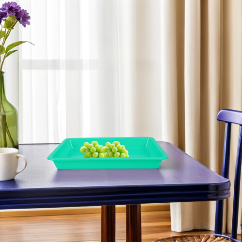 10St Draagbare Trays Voor Snacks En Creatieve Activiteiten 2