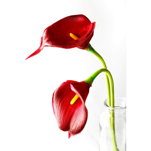 Διαχρονική σύνθεση με κρίνο Calla, τεχνητά λουλούδια που μοιάζουν με αληθινά για 2