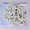 Τεχνητά Λουλούδια, Μπουκέτο Γυψοφίλων Babys Breath, 10 τεμάχια Τεχνητά Λουλούδια με 3