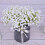 Τεχνητά Λουλούδια, Μπουκέτο Γυψοφίλων Babys Breath, 10 τεμάχια Τεχνητά Λουλούδια με 4