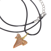 1Sharktoothketting Resin Tand Hanger Comfortabel