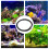 1Rond Airstone Bubbeldiffuser Optimale Aquarium Zuurstof 5