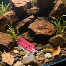 4St Aquarium Tunnel Decor Betta Vis En Garnalen Habitat