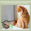 Self-Adhesive Nano Insect Screen Window Mesh, Tear-Resistant, No-Drill Hook and Loop Fixing, Cat-Resistant 2