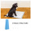 2St Dierentoilet Trainingskolom PP Huis En 5