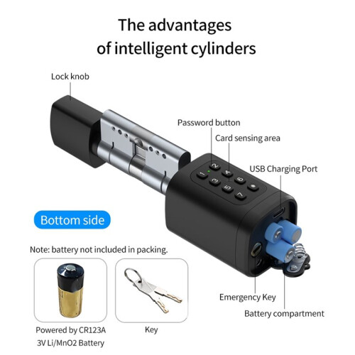 Tuya APP Fingerprint Code Password Digital RFID Card Cylinder  Door Lock Electronic Support Alexa  Home