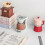 Creative Nordic Style Timer Mechanical Alarm Clock Without Battery 60 Minutes Co 2