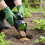 Handheld Seed and Fertiliser Spreader, Adjustable Openings 2