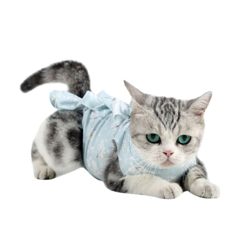1Kattenherstelpak Comfortabel Kattenkleding Postoperatief