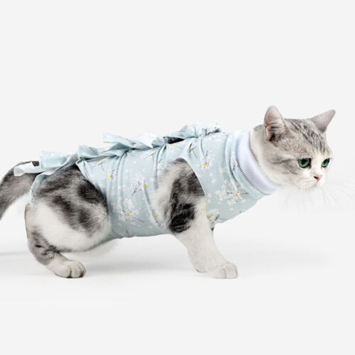 1Kattenherstelpak Comfortabel Kattenkleding Postoperatief 1