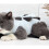 1Kattenherstelpak Comfortabel Kattenkleding Postoperatief 3
