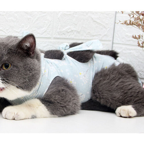 1Kattenherstelpak Comfortabel Kattenkleding Postoperatief 2