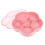 1Appetizer Tray Roze Met Compartimenten Voor Snacks 1