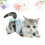 1Kattenherstelpak Comfortabel Kattenkleding Postoperatief 4