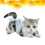 1Kattenherstelpak Comfortabel Kattenkleding Postoperatief 6