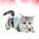 1Kattenherstelpak Comfortabel Kattenkleding Postoperatief 7