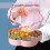 1Appetizer Tray Roze Met Compartimenten Voor Snacks 3