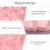 1Appetizer Tray Roze Met Compartimenten Voor Snacks 4