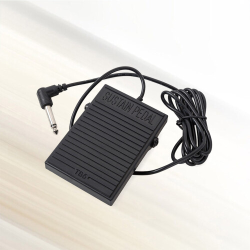 1Duurzame Sustain Controller Pedal Zwart Voor Keyboard 1