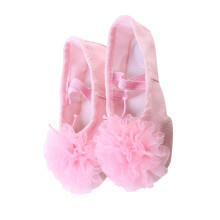 1Paar Roze Dansschoenen Met Elastische Band Comfort