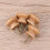 20St Mushroom Ladegreep Van Hout Voor 3