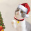 2St Comfortabele Rood Halsband Met Hond En Kat 5