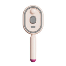 Elektrische haarborstel met luchtkussen en nevelspray, compact op te bergen voor op reis, draagbaar verzorgingsapparaat voor reizigers.