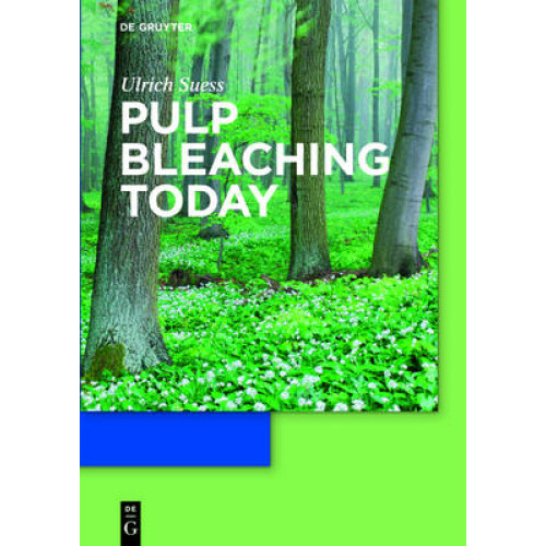 Pulp Bleaching Today
