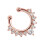 Modieuze Rose Gouden Alloy Neusring Decoratie 9