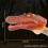 Μαλακή λαστιχένια μαριονέτα χειρός Spinosaurus για παιδιά, ρεαλιστικό διαδραστι 4