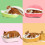 1Catbed Comfortabel Dierenbed Afneembaar 4