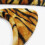 3St Cosplay Set Met Oren En Strik Kinderfeest 4