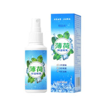 Portable Mint Cooling Spray – Outdoor Students Summer Essentials, Anti-Heatstroke Cooling Mist for Training Camp and Travel