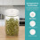 28St Mason Jar Sprouting Met Ventilatie En Mesh Voor Glaspotten 6