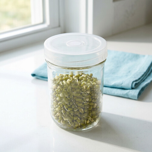 28St Mason Jar Sprouting Lids Met Vent Mesh Deksels Voor 2