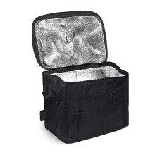 10L Insulated Lunch Bag Large Foldable Cooler Bag for Picnic Beach Travel and Work