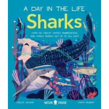 Sharks A Day in the Life What Do Great Whites Hammerheads and Whale Sh