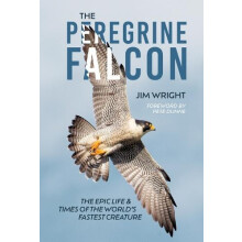 Peregrine Falcon by Jim Wright Hardcover Book