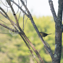 3St Metalen Neststof Houder Voor En