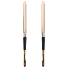 2St Draagbare Lippenborstel Set Metalen Zachte Voor Lipgloss