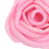 5St Rozen Reed Diffuser Voor Huis En Kantoor 4