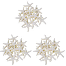 30 Pieces Creamy-White Pencil Finger Starfish for Wedding Decor, Home Decor and Project