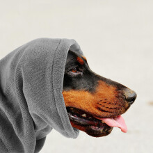 1Petdog Verstelbare Fleece Oorwarmers Kalmerend En Warm
