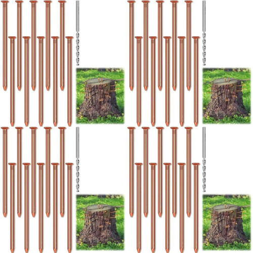 40 Pregos de Cobre para Matar Raízes de Tocos de Árvores, Pregos de Cobre Puro de 3,15 Polegadas de Comprimento A Granel com Broca, Pontas para