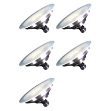 5X Sprayer Diaphragm Piece/Liner Airless Spraying Machine Diaphragm Assembly Paint Coating Latex Paint 980 995 895
