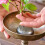 36 Peças Flower Frog, Round Stainless Floral Frogs, Flower Arranger Fixed Tool Pin Frog (Prata, 0,6 Polegadas) 7