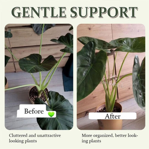 Turtle Shell Bamboo Clamp Set, Plant Stem Plastic Support, Flower-Shaped Green Plant Leaf Holder Turtle Shell Bamboo B