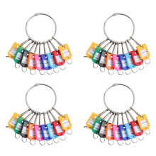 Portable Metal Ring Key Organizer with 40 Spring Hooks & Key Tags with Ring and Label Window