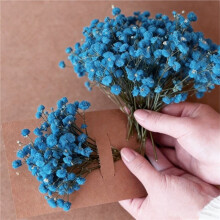 100X Dried Gypsophila Flowers for DIY Crafts, Wedding Decorations, Vibrant Preserved Floral Arrangements